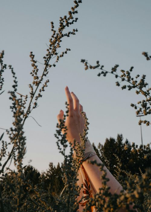 Kinésiologie entrer en relation avec votre corps