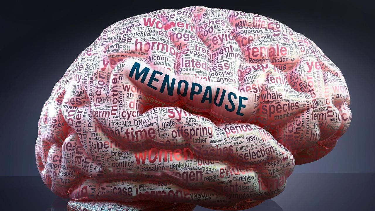cerveau ménopause kinésiologie